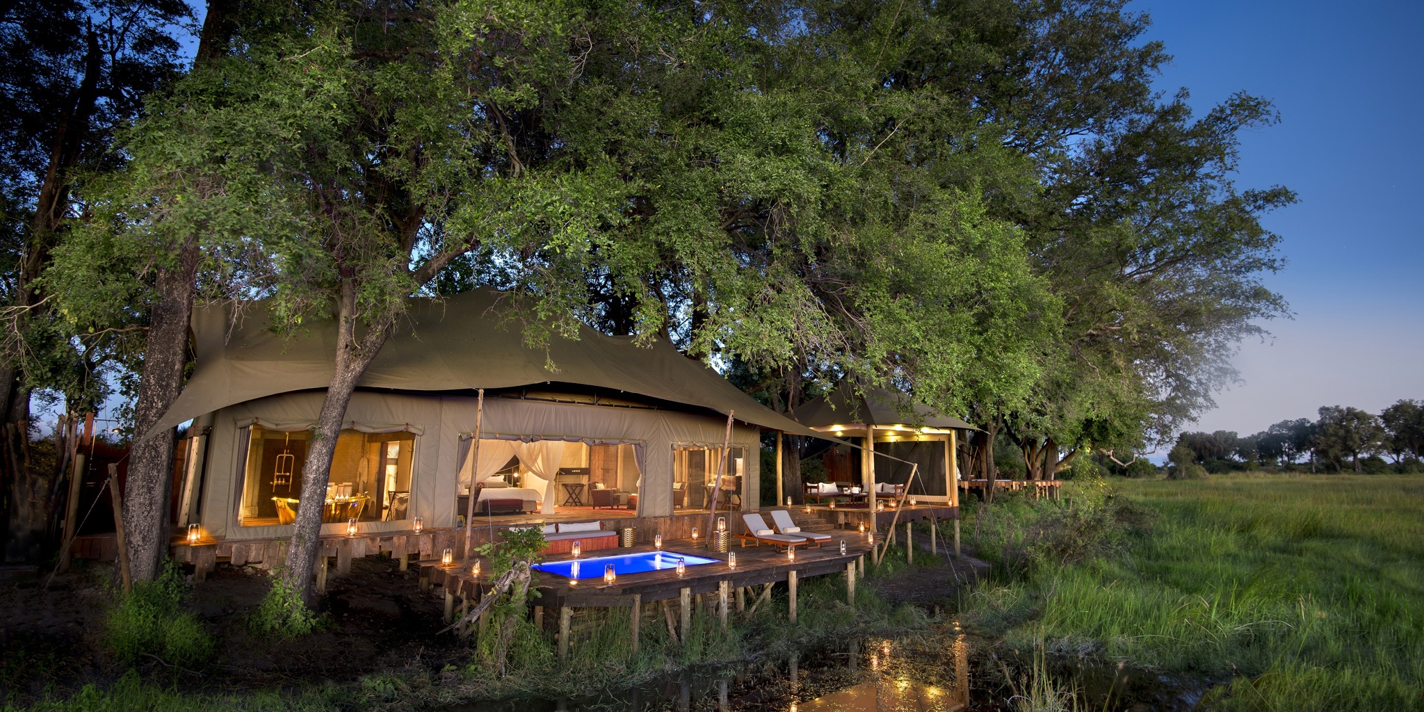 Duba Plains Safari