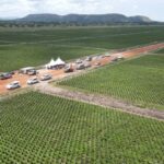 Sango Bay Estates – Uganda