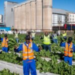 African Investment 2025