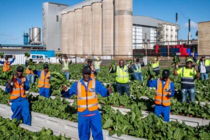 African Investment 2025