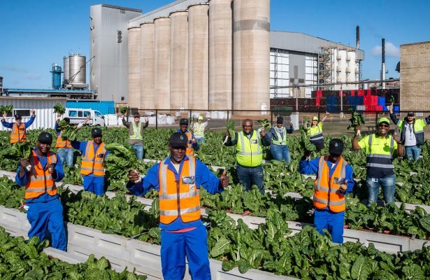African Investment 2025