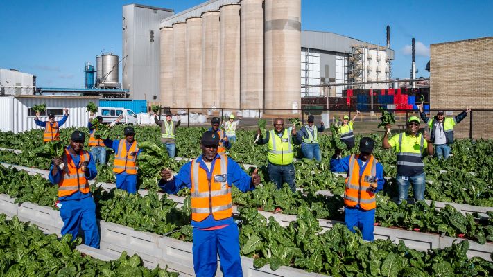 African Investment 2025