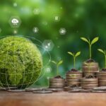 Africa’s largest sustainability bonds