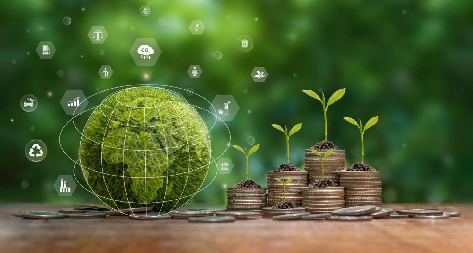 Africa’s largest sustainability bonds