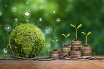 Africa’s largest sustainability bonds