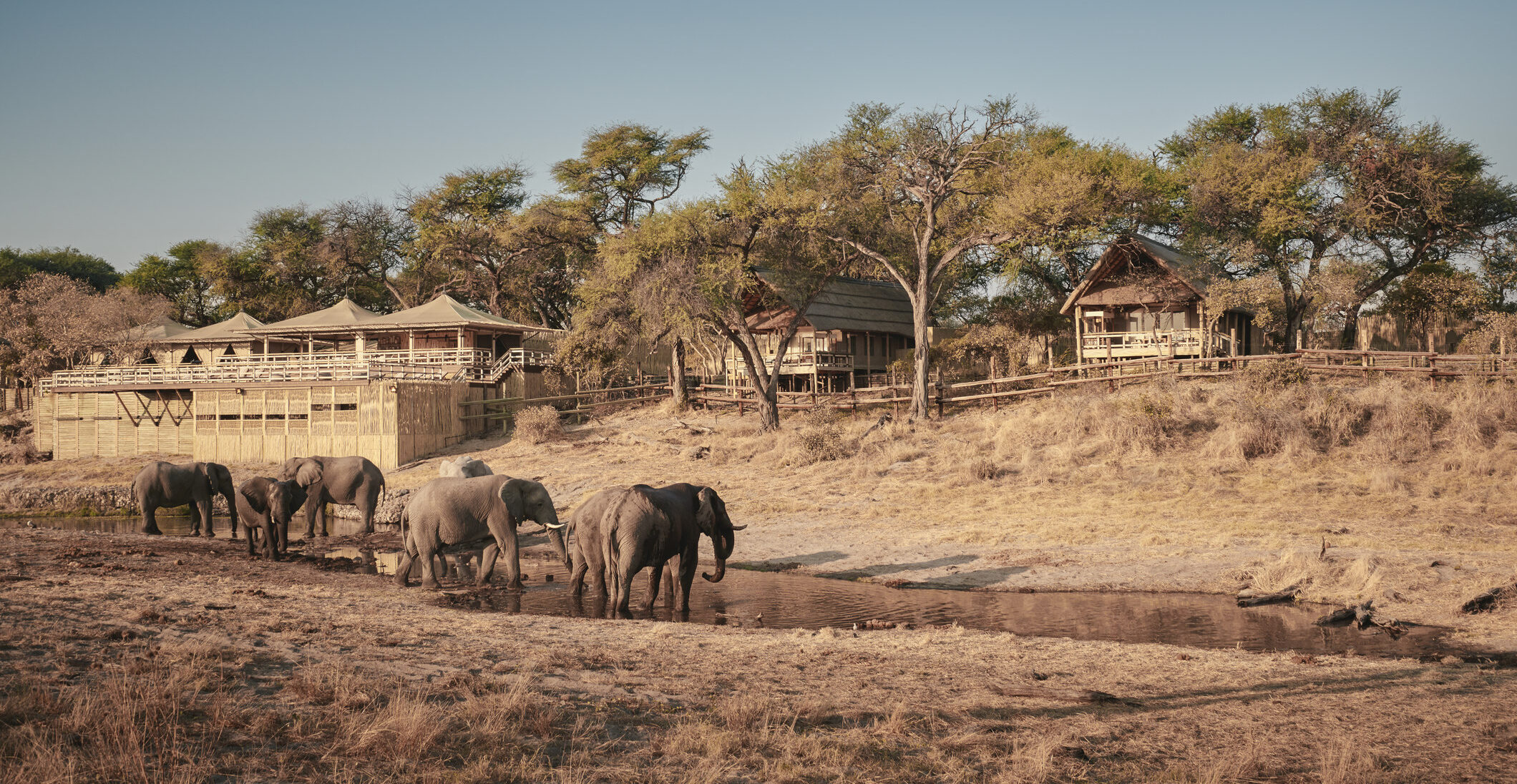 Belmond Safaris, Savute Elephant