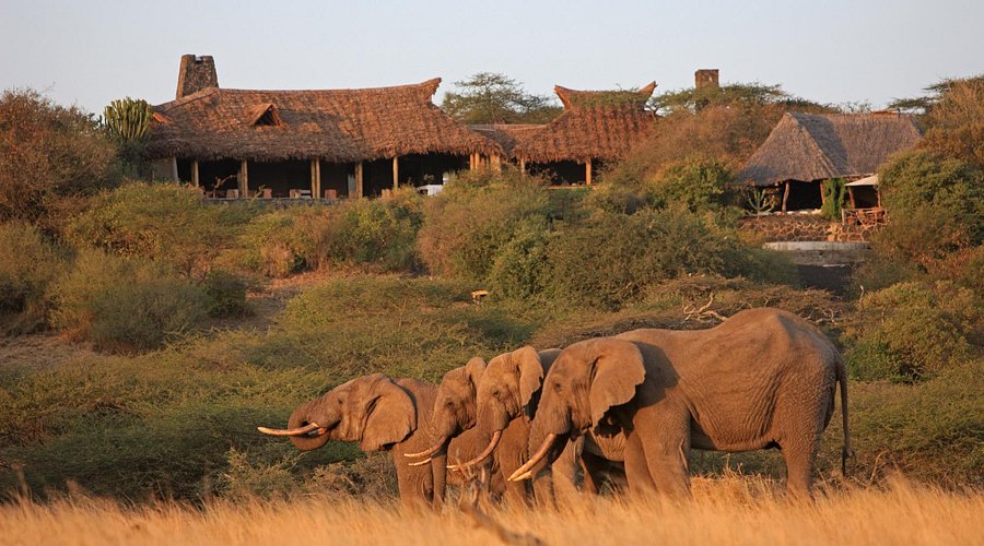 ol-donyo-lodge