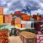 South African Export