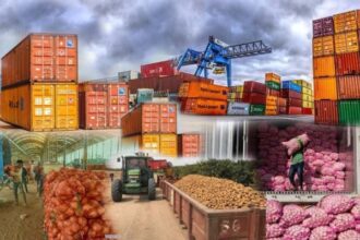 South African Export