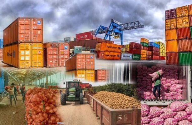 South African Export