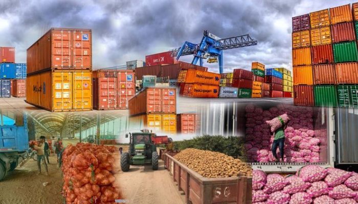 South African Export