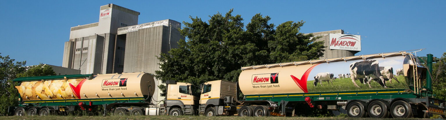 PIC trims Astral Foods stake amid strategy shift
