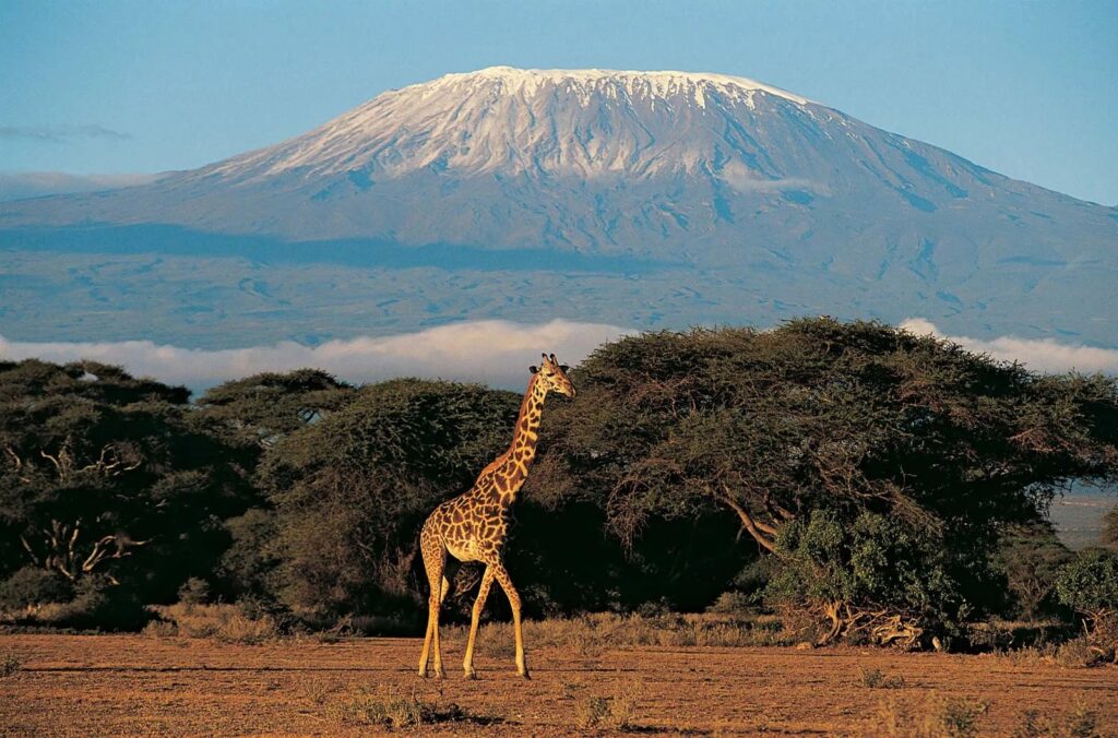 20 highest mountains in Africa