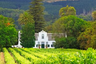 Wine Farm