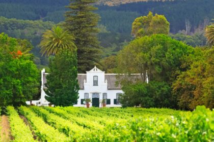 Wine Farm