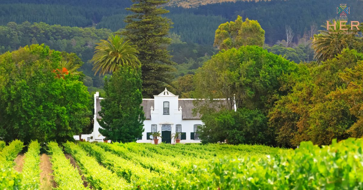 Wine Farm