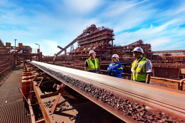 Assore - Khumani, Parsons Plant