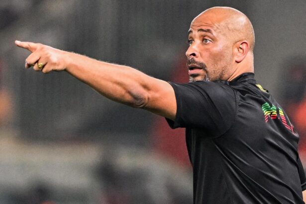 Super Eagles coach, Eric Chelle