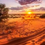 Kalahari Desert