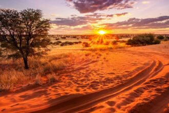 Kalahari Desert