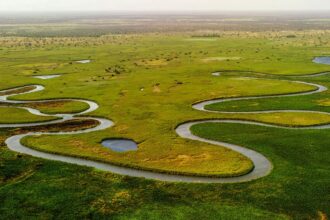 Okavango Delta Safari