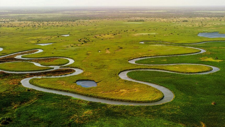 Okavango Delta Safari