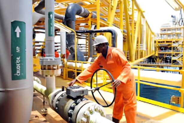 Africa's top two LNG producers eye joint export push