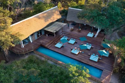 Luxury Safari Meets Wilderness in Okavango