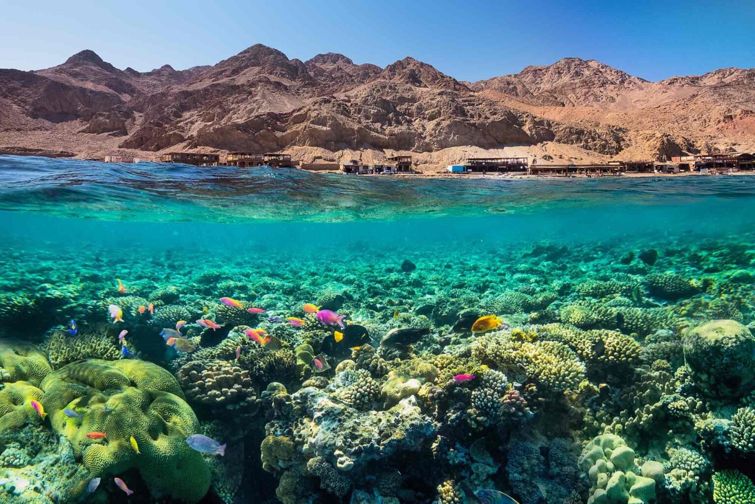 Egypt Red Sea