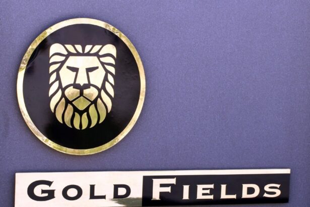 Gold field logo
