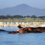 Lake Naivasha