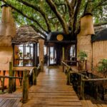 Africa’s finest luxury hotels redefine high-end travel