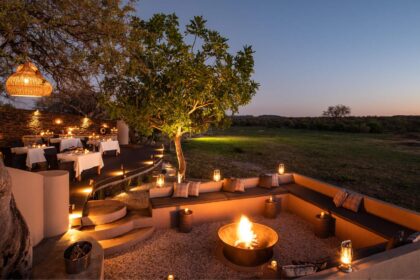 Safari experience