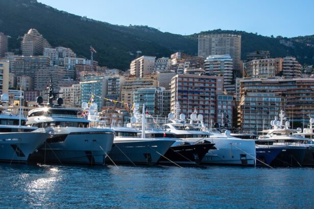 Monaco Yacht Show