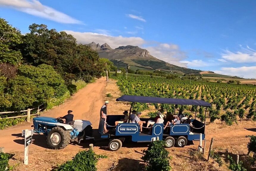 Stellenbosch wine tractor