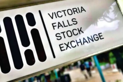 Victoria Falls Stock Exchange