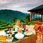 Silverbacklodge, Bwindi park