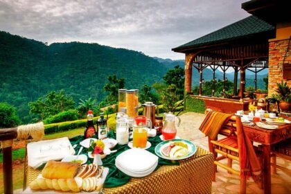 Silverbacklodge, Bwindi park