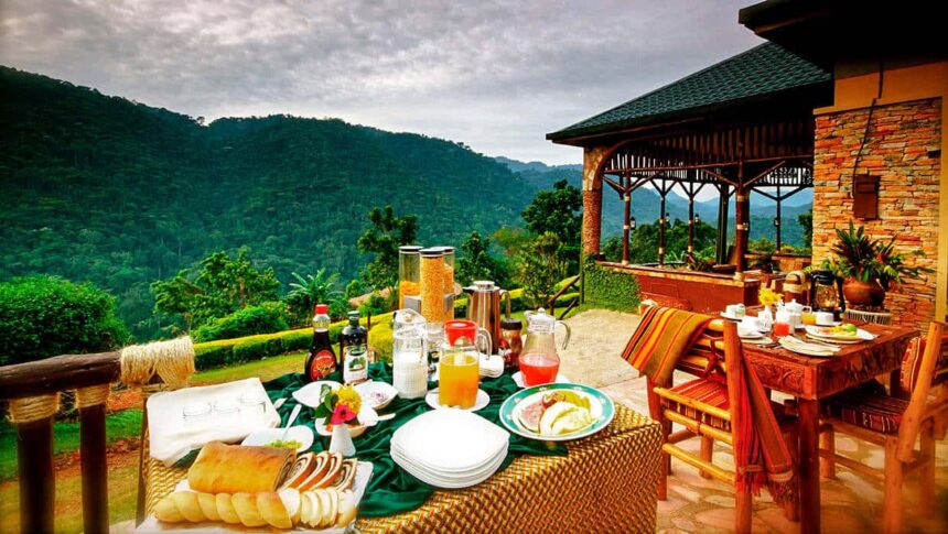 Silverbacklodge, Bwindi park