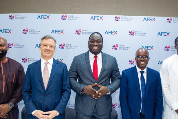 Babban Gona, Nigerian maize farmers