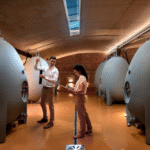 Babylonstoren South Africa