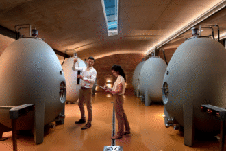 Babylonstoren South Africa