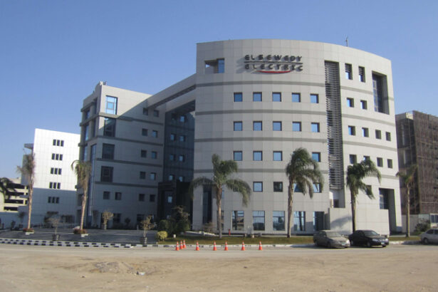 African-owned electric companies