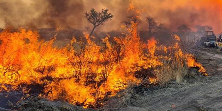 Wildfire burns through dry bush in Etosha National Park, Namibia, as crews work to contain the blaze.