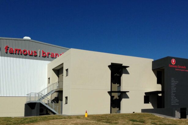 Famous Brands South Africa earnings