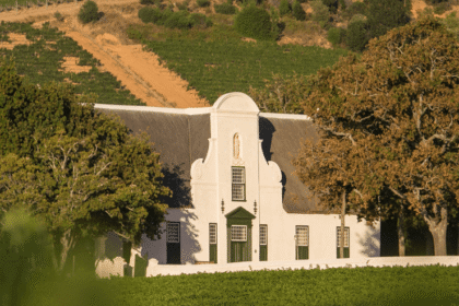 Top wine estates in Africa