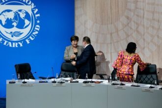 Egypt Leads Africa in IMF Debt