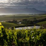 Jordan Wine Estate Stellenbosch