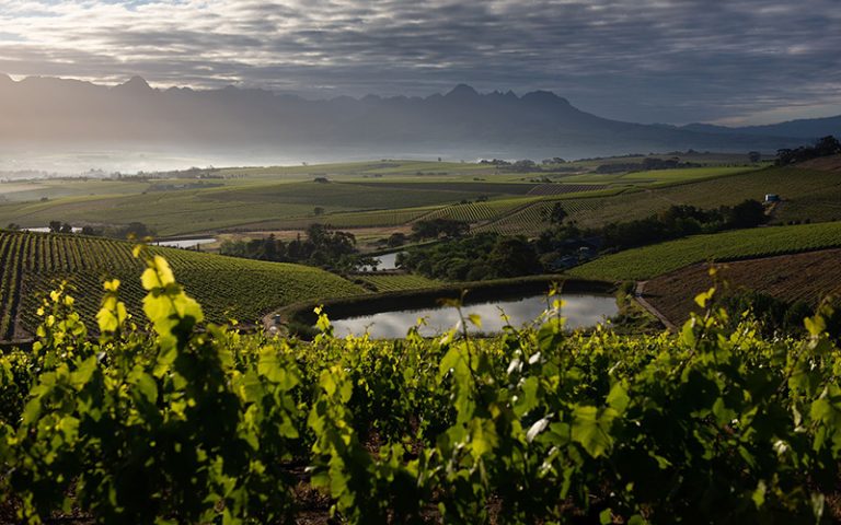 Jordan Wine Estate Stellenbosch
