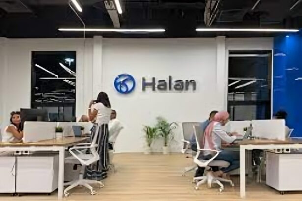 MNT-Halan sukuk issuance